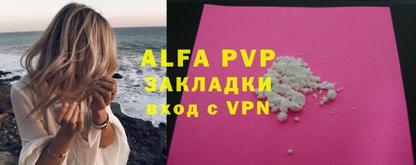 ГАЛЛЮЦИНОГЕННЫЕ ГРИБЫ Карталы