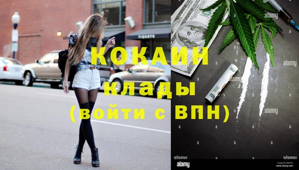 мдпв Карпинск