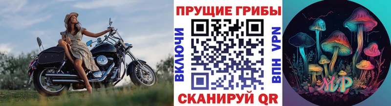 Галлюциногенные грибы ЛСД  нарко площадка Telegram  Карпинск 