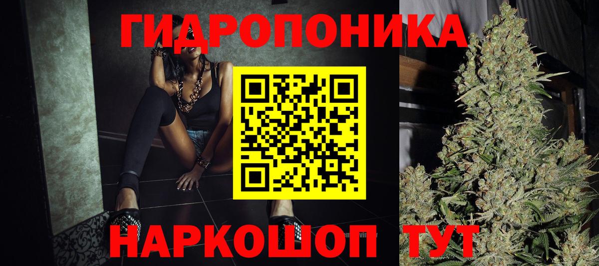 Бошки Шишки семена Карпинск